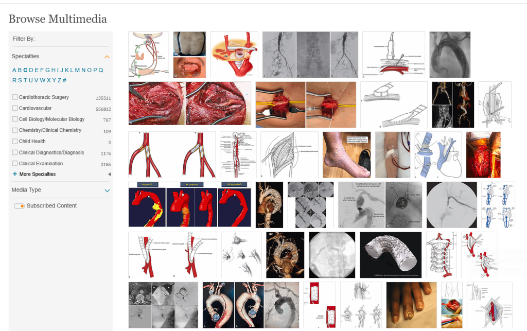 ClinicalKey - przegląd materiałów multimedialnych