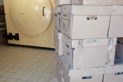 Komora fumigacyjna i dezynfekowane zbiory zapakowane w kartonowe pudła (fot. Marcin Michalski)